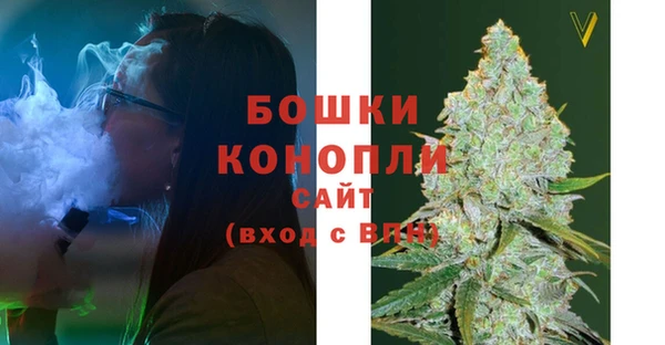 ешки Ельня